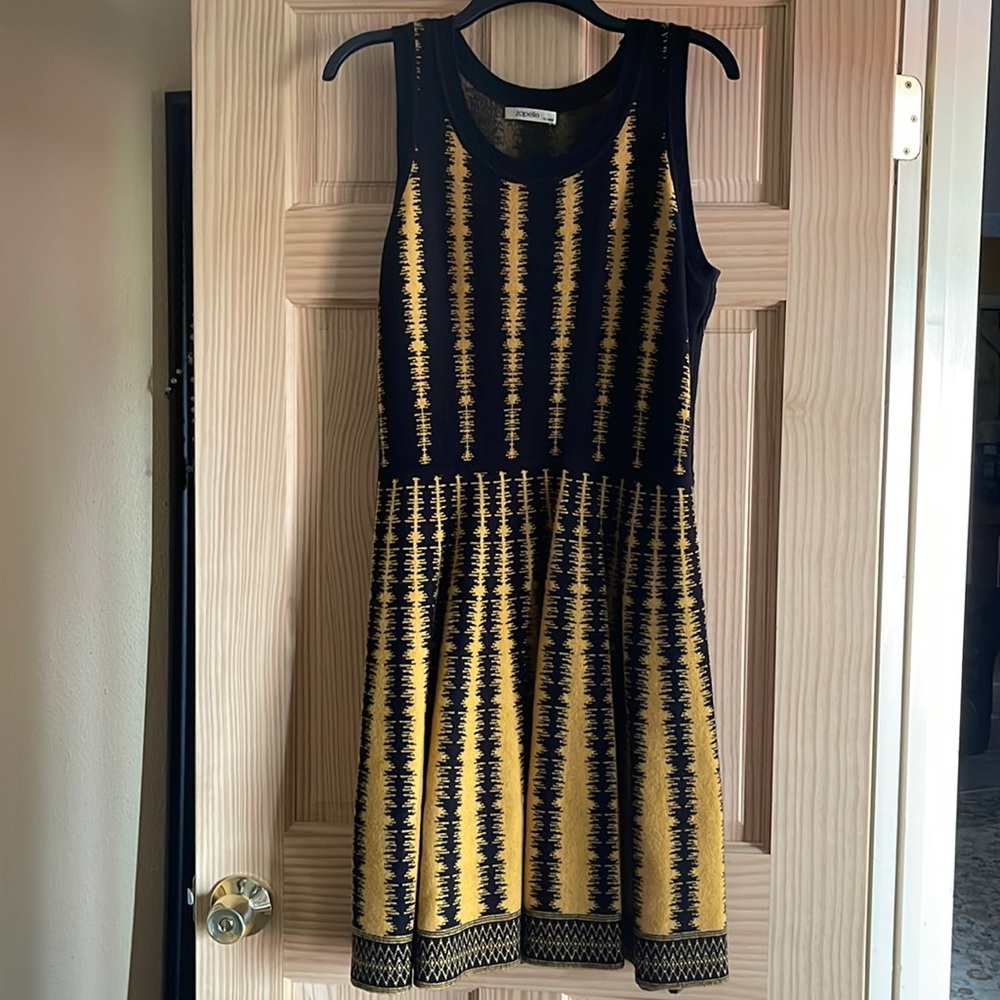 Black and Orange A-Line dress